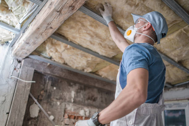 Best Residential Insulation in Edna, TX